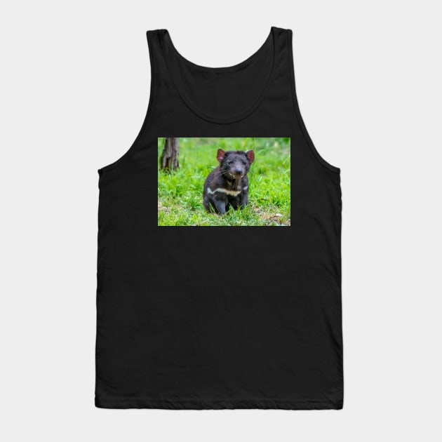 Tasmanian Devil watching Tank Top by kathiemt